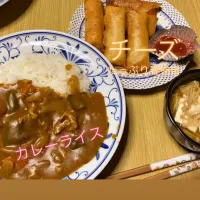 カレーライス、手作りチーズ春巻き、豆腐とえのき煮|yuさん