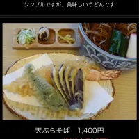 Snapdishの料理写真:天ぷらそば|gakuさん