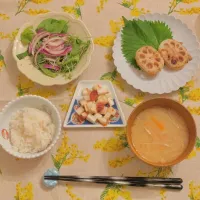 Snapdishの料理写真:蓮根のはさみ焼き
長芋の梅肉和え
グリーンサラダ
お味噌汁
ごはん|maiさん