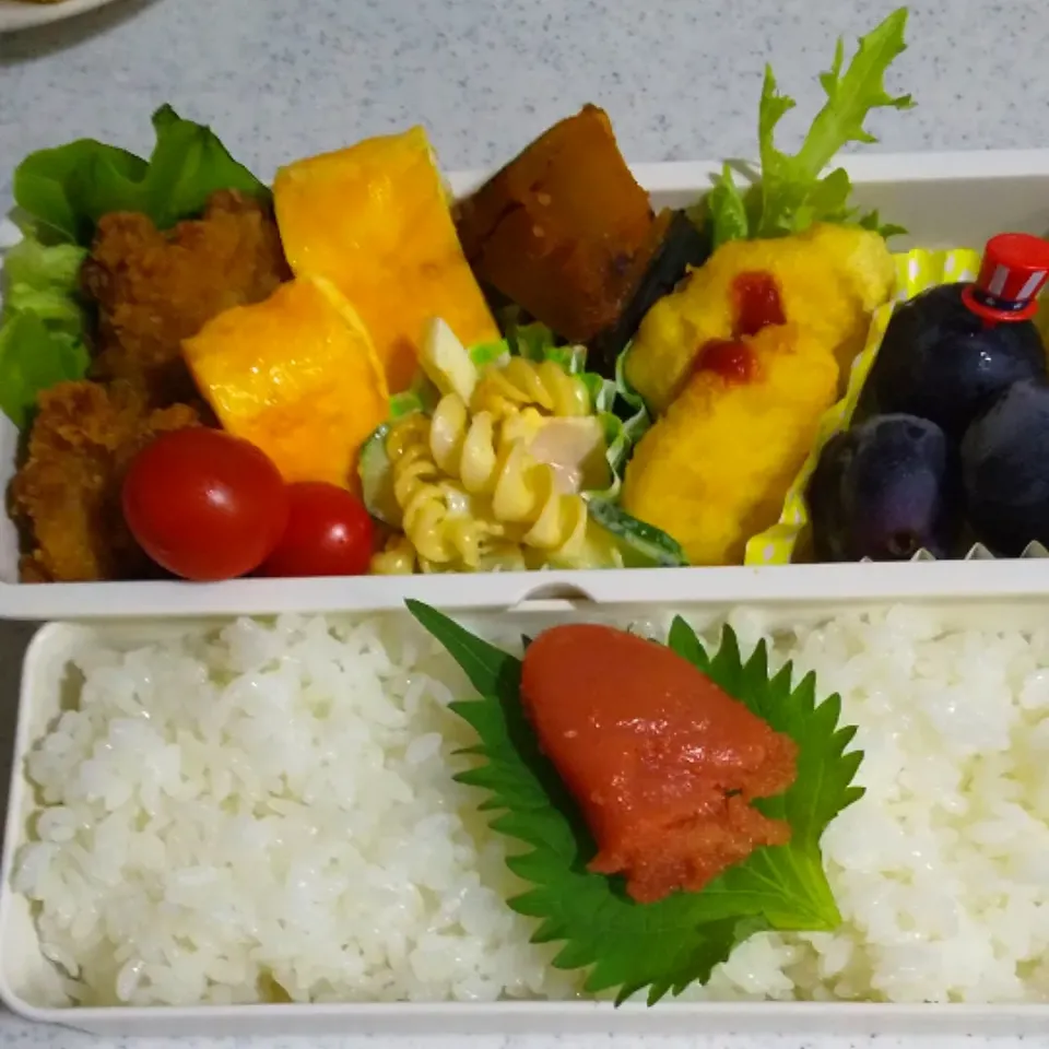 今日の息子のお弁当🍱|けーこさん