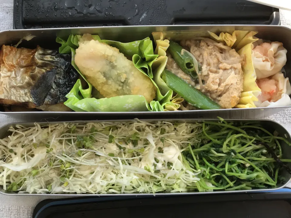 Snapdishの料理写真:糖質制限のお弁当|ari526msxさん