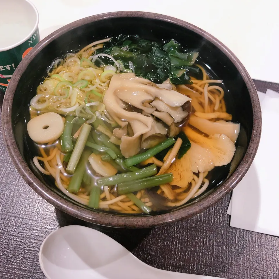 Snapdishの料理写真:山菜うどん|みぃさん