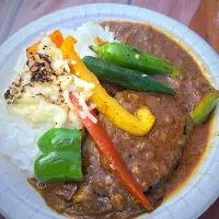 岡山の旬鮮野菜たっぷりキーマカレー|花北ゆう子さん