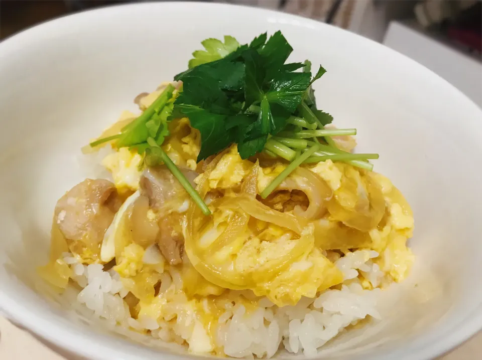 親子丼🐣|みかん🍊さん