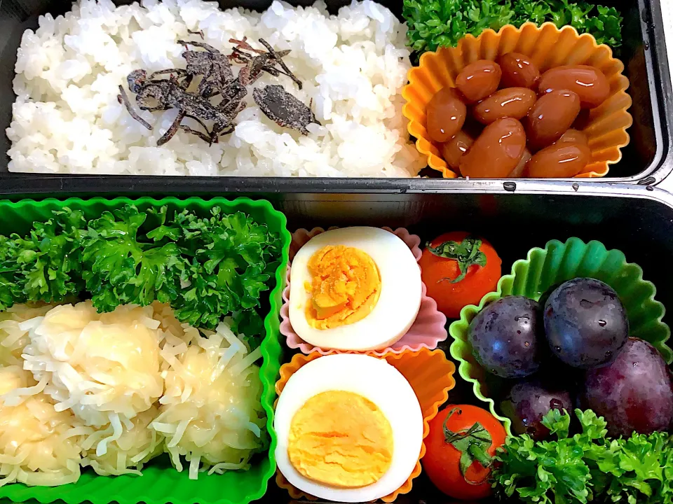 今日のお弁当20191015|rococoさん