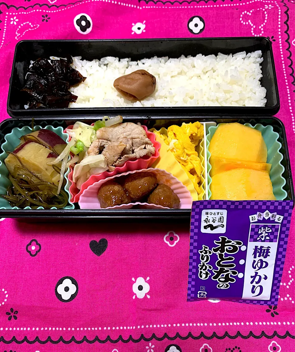 Snapdishの料理写真:娘のお弁当10/16|iguigupopさん