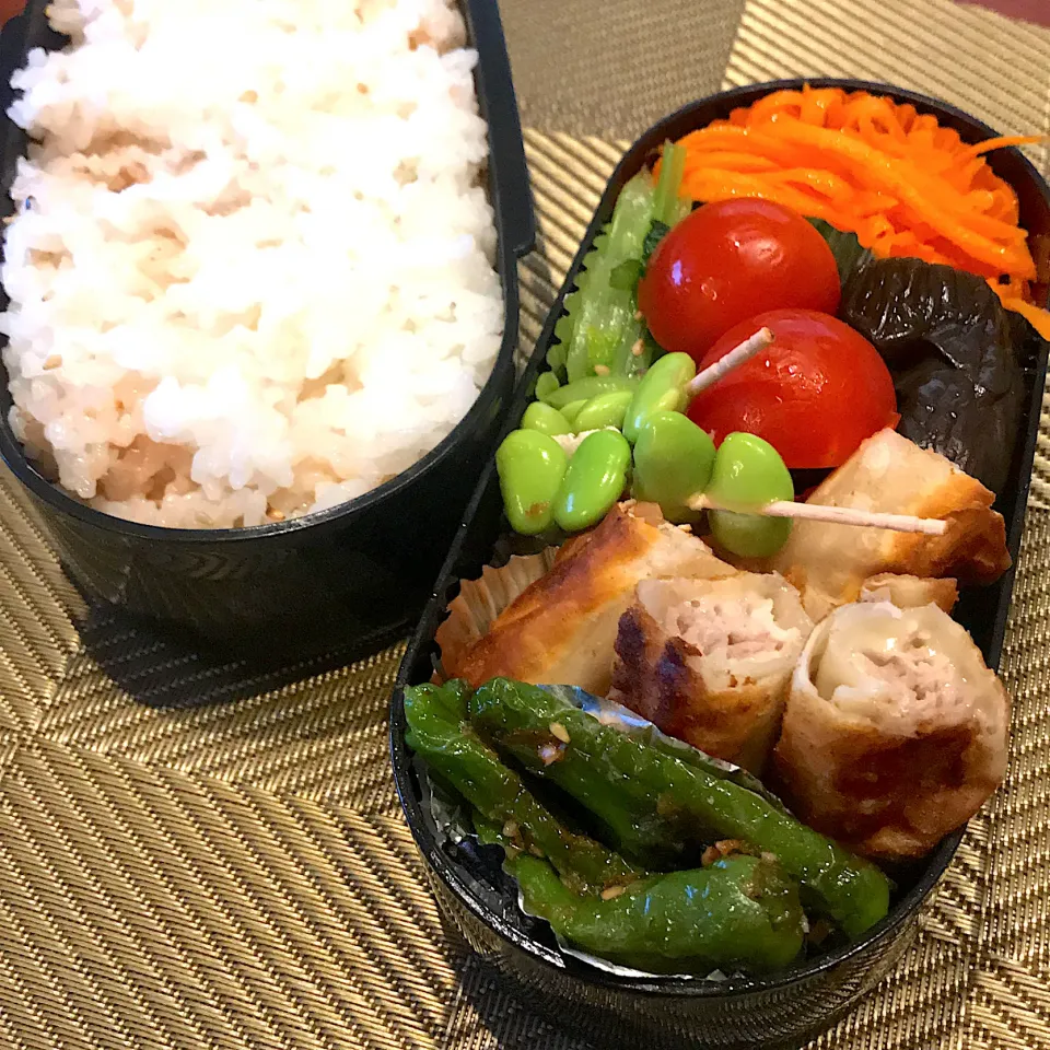 Snapdishの料理写真:今日のお弁当🍱|mokoさん