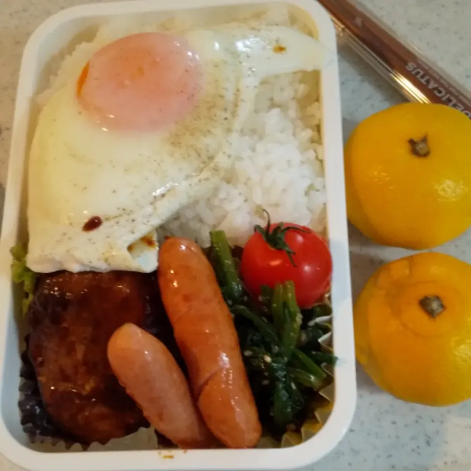 今日の息子のお弁当🍱|けーこさん