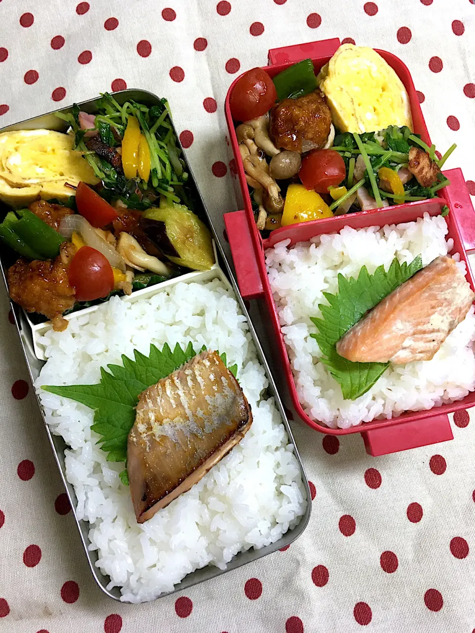 10月17日 秋晴れ弁当🍱|sakuramochiさん