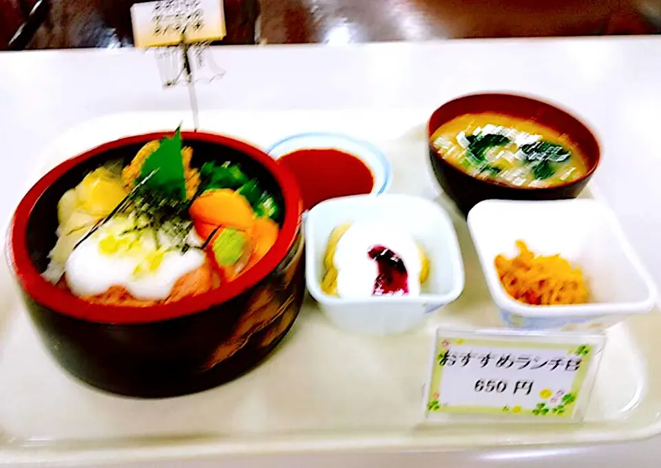 Snapdishの料理写真:ネギトロとサーモンのネバネバ丼セット|nyama1さん