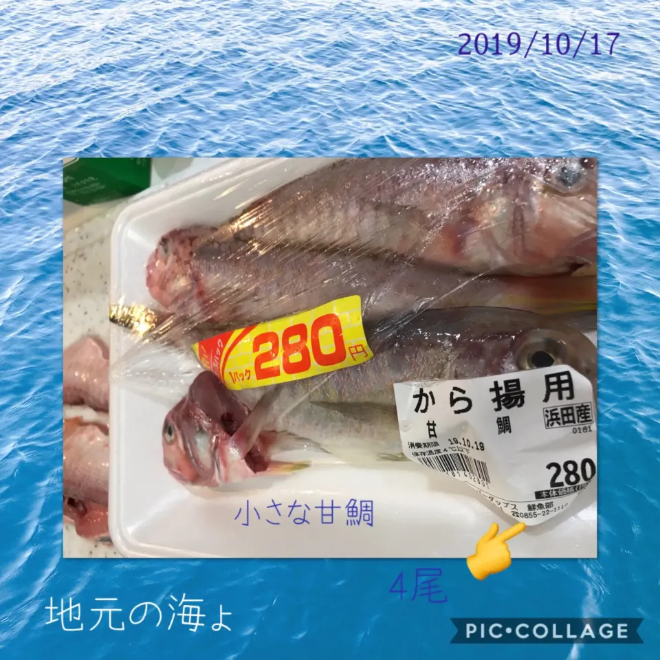 #小さな甘鯛4尾280円🤣👍|みすてりあすゆっこさん