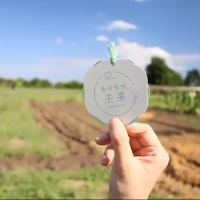 もぐもぐ未来「農園収穫体験」イベントレポート