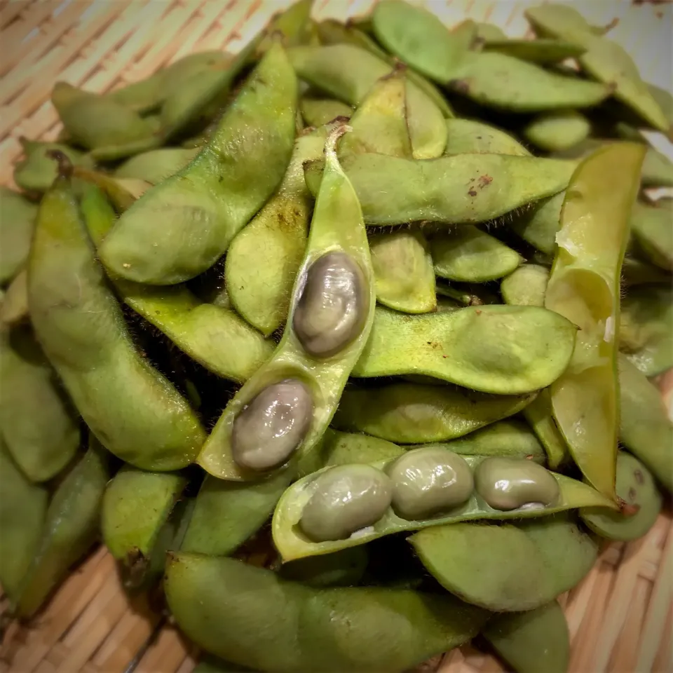 丹波のくろまめの枝豆|Aki Sawaさん