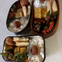 Snapdishの料理写真:久しぶりだけど、今日の親子弁当|西原 真記さん