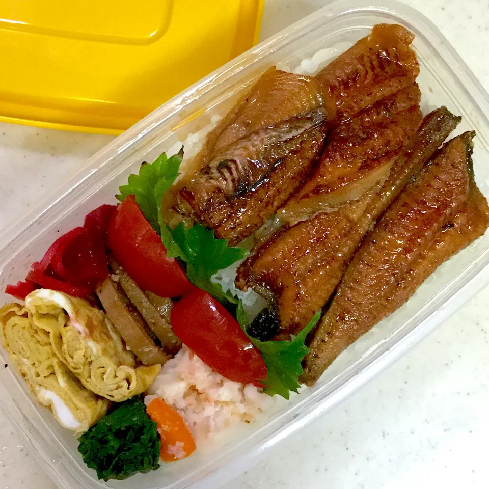 Today's lunch box|hoppycowさん