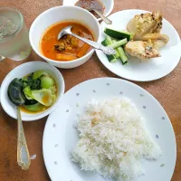 Fish Curry, Pak Choy, Steam Chicken, Japanese Cucumber, sambal belacan and rice for lunch.|Ainaaさん