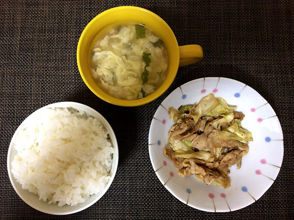 豚肉キャベツ炒め(ハーフ)ご飯|ばーさんさん