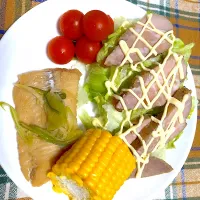 Snapdishの料理写真:タラの煮物、焼豚サラダ|Ｅｍｉｌｙさん