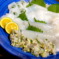 アオリイカのお刺身🐟