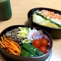 Snapdishの料理写真:本日のお弁当|コアさん