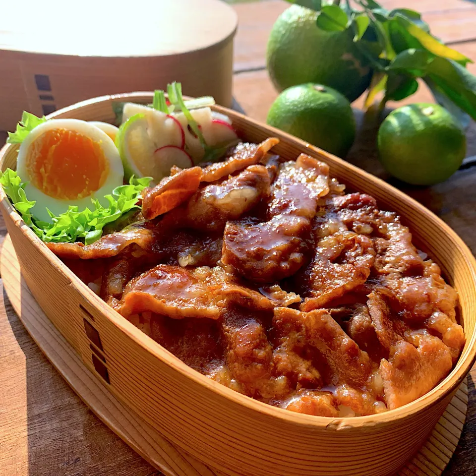 Snapdishの料理写真:豚丼弁当|呑兵衛料理家 おねこさん