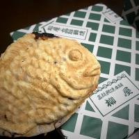 神田川の近くで捕獲した鯛