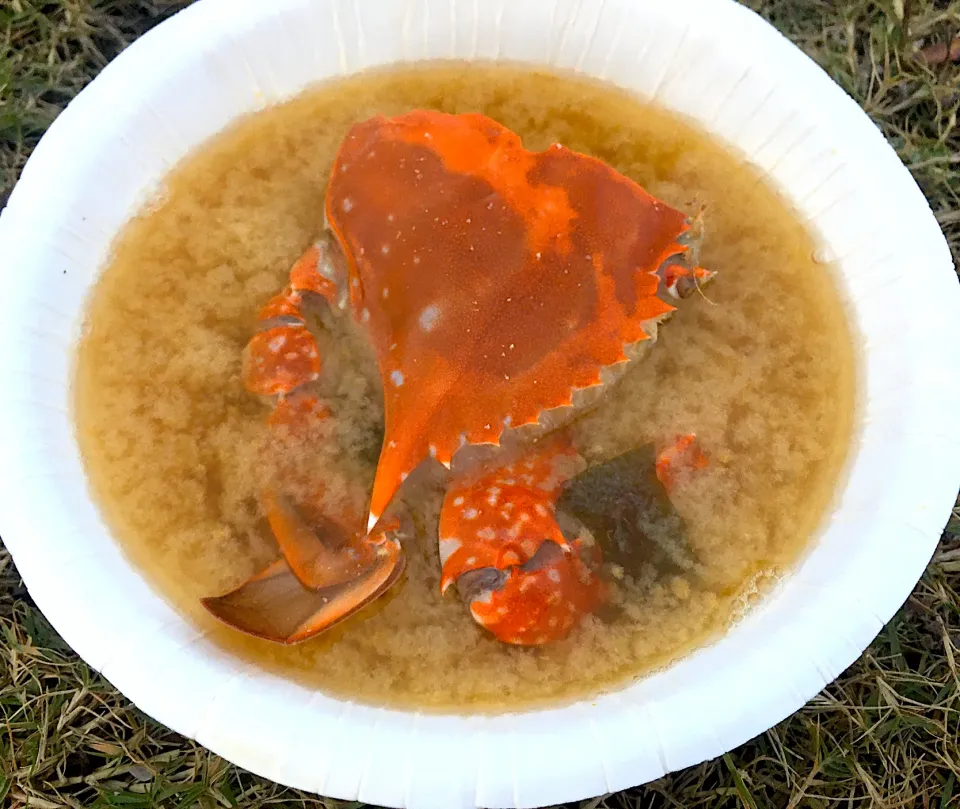 釣場めし）ワタリガニの味噌汁|ぬう太郎さん