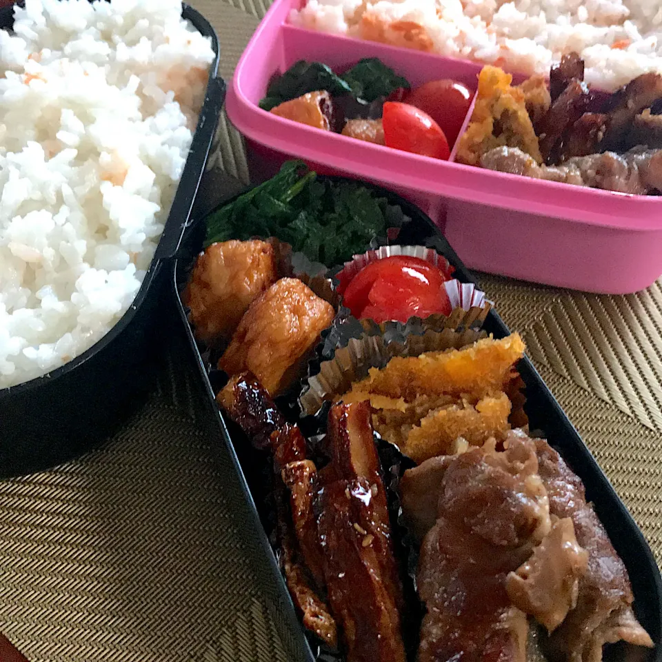 今日のお弁当🍱|mokoさん