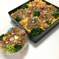 Snapdishの料理写真:🍱運動会弁当🍱三色丼|ち〜さん