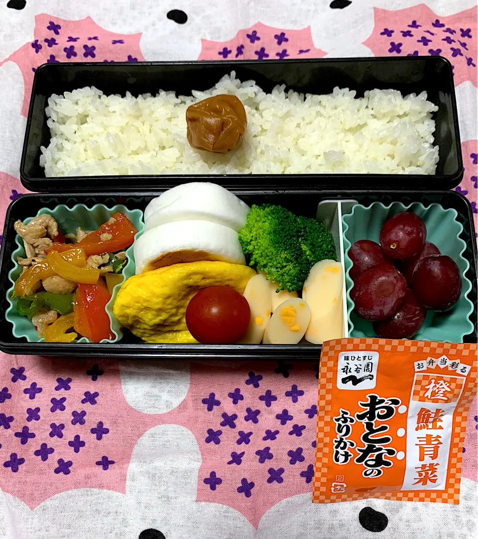 Snapdishの料理写真:娘のお弁当10/24|iguigupopさん