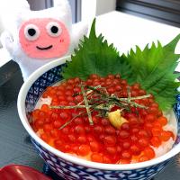 【#いくらの醤油漬け 】#筋子 のほぐし方から簡単レシピ YouTube ギョニソのニックTV