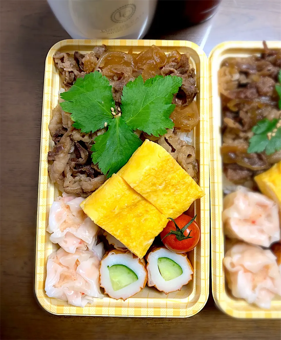 Snapdishの料理写真:牛丼弁当🍱✨|marimoさん