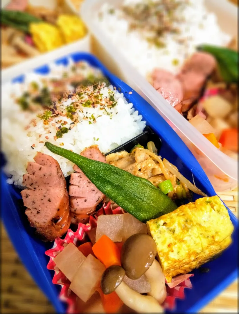 今日のお弁当20291025|和泉の元気パパさん