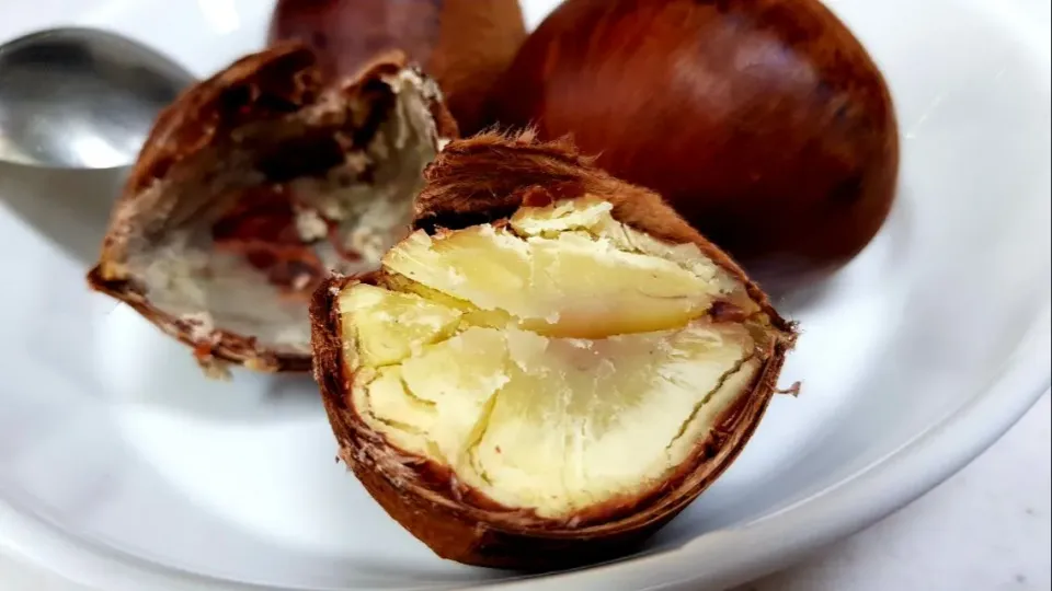 steamed chestnuts|steven z.y.さん