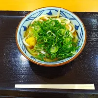 Snapdishの料理写真:丸亀製麺　かけうどん　並|VTuber Leviさん