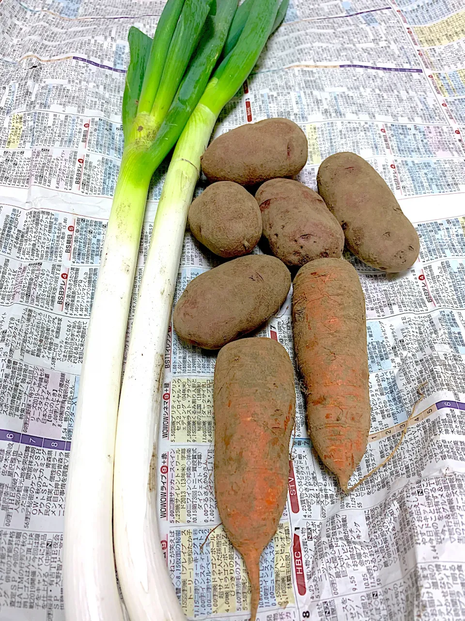 無農薬野菜　家庭菜園|きらさん