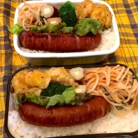 Snapdishの料理写真:何時ぞやの#お弁当|西原 真記さん