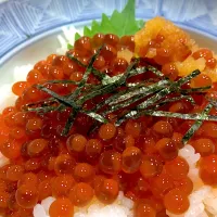 豊科ばんどこイクラ丼❣️|Tomonori  Kitabayashiさん