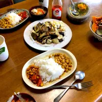 Snapdishの料理写真:チャナ豆のカレー　キャベツとナスとテンペのケチャップマニス炒め　ブラジルのとうがらしピメンタ　マランゲッタのアチャール　鶏肉団子スープ|Morihiko  Yanoさん