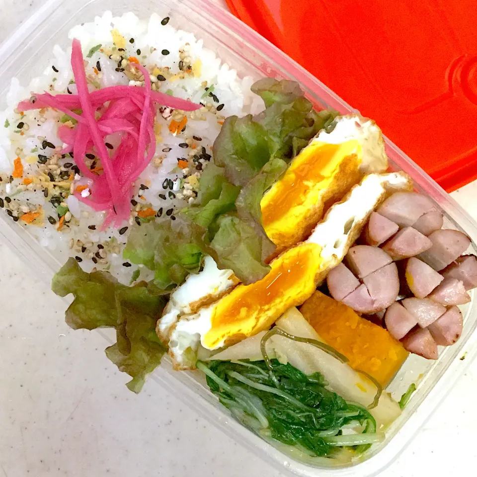 Today's lunch box|hoppycowさん