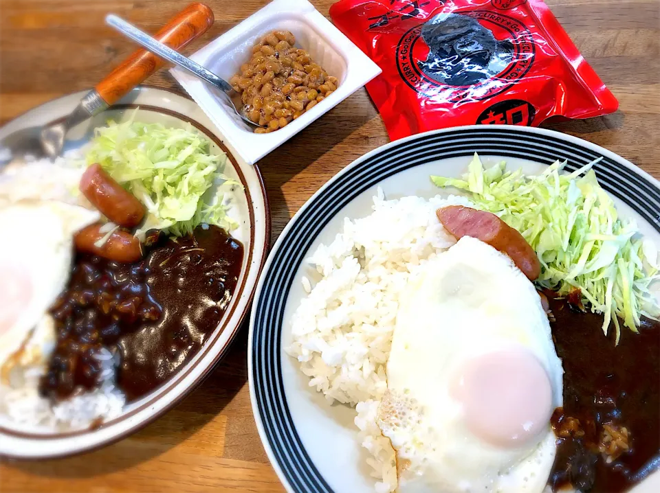 ランチはゴーゴーカレー辛口|じゅんさんさん