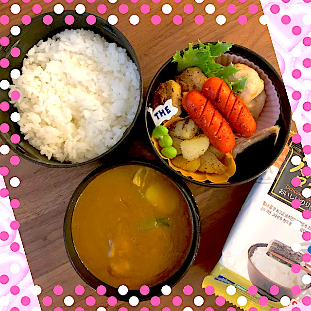 Snapdishの料理写真:カレー南蛮弁当|ryosanさん