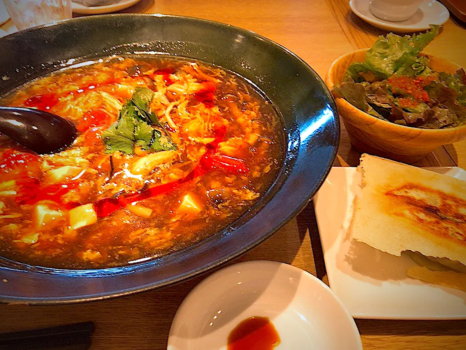 Snapdishの料理写真:酸辣湯麺|もっさんさん