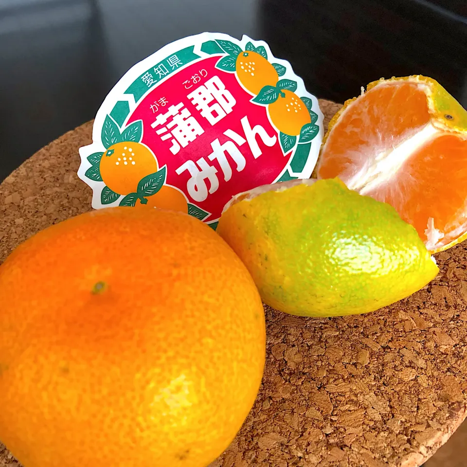 海風で育ったみかん🍊|ヨッチャンさん