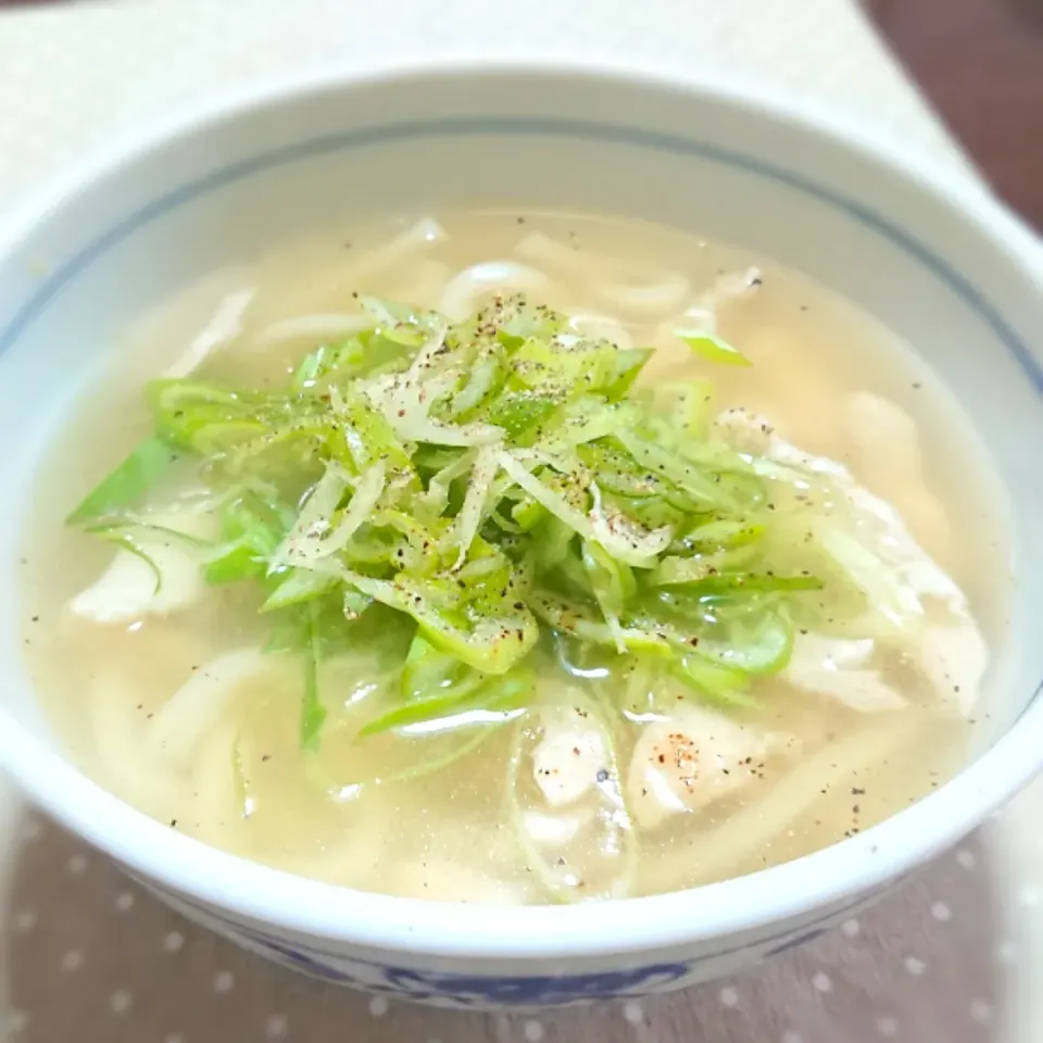 自前野菜だしで塩味のさっぱりうどん🎵|みかりんさん