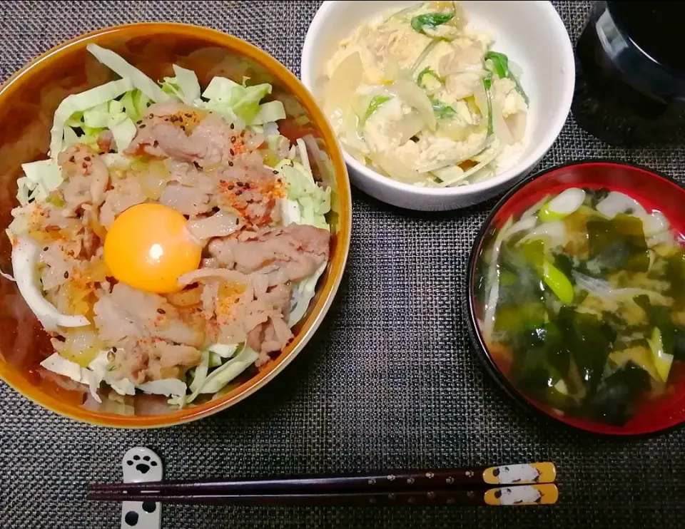 豚丼 豆腐卵とじ わかめの味噌汁|いちみさん