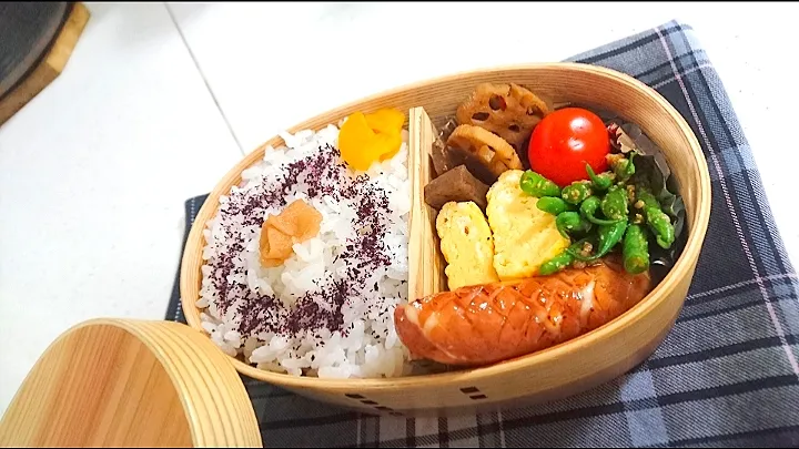 11/6  時短弁当🍱|びせんさん