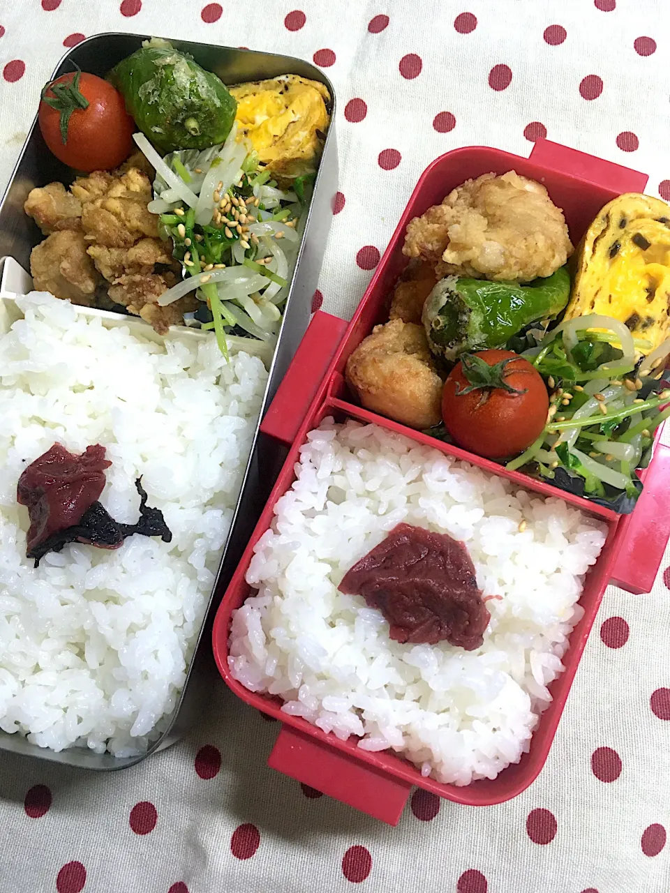 Snapdishの料理写真:11月6日 今日も秋晴れ弁当🍱|sakuramochiさん