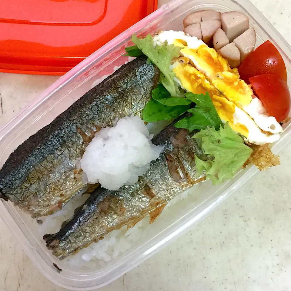 Today's lunch box 秋刀魚❣️|hoppycowさん