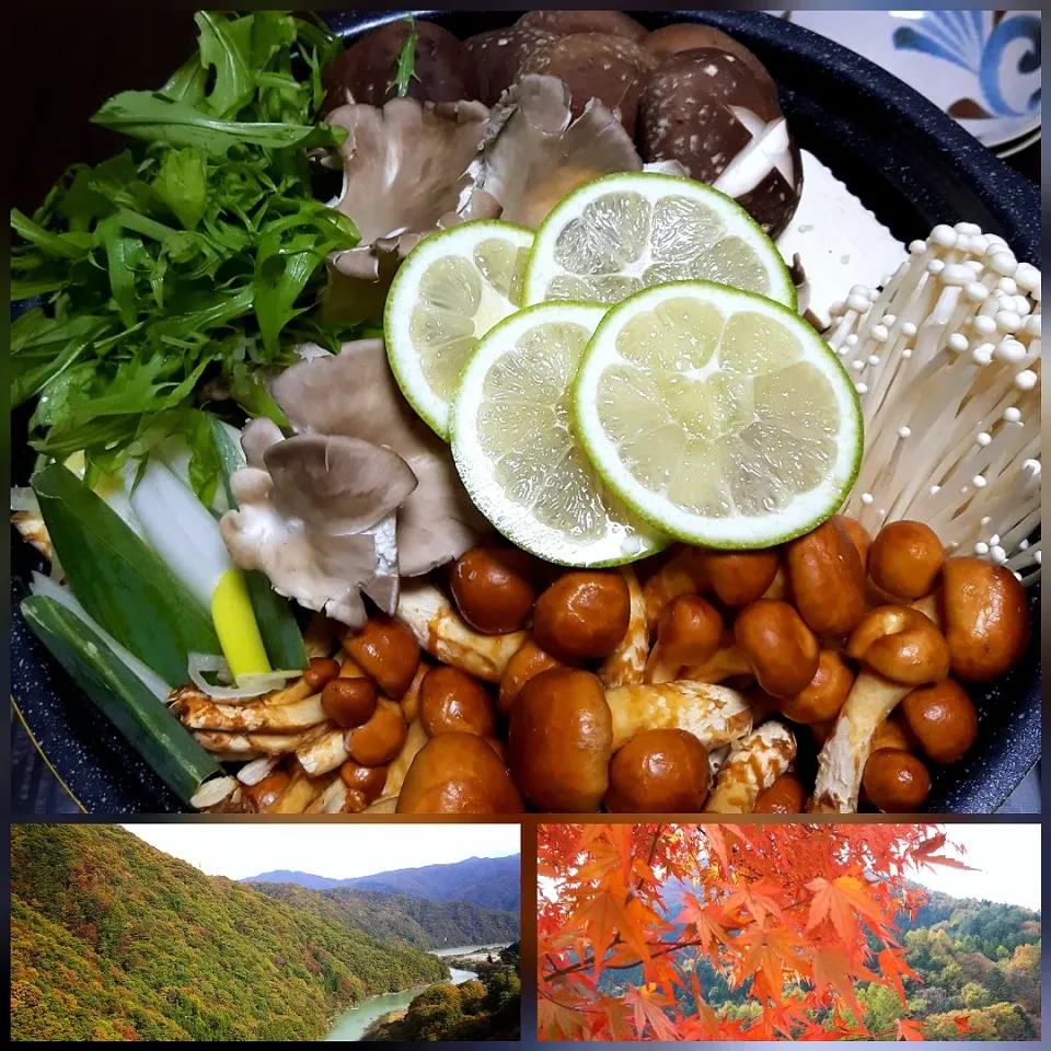 めるぼさんの料理 焼きあご出汁 de たっぷりきのこ🍄と鶏手羽元と鶏団子鍋♡仕上げにライム🍜♨♪|ナオミさん